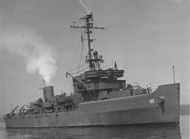 USS Revenge (AM-110)